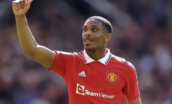 的快乐和动 的快乐和动